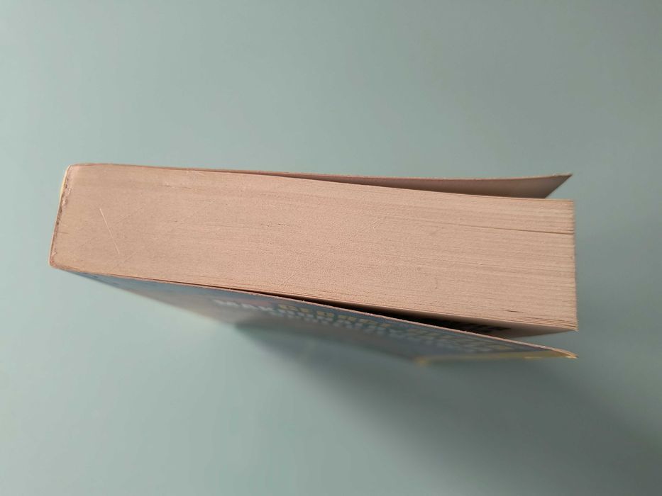 Makdonaldyzacja społeczeństwa - George Ritzer