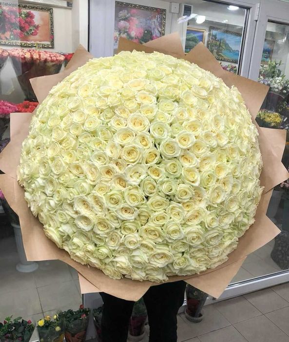 Свежая роза, доставка цветов Днепр, букет 151 роза, цветы