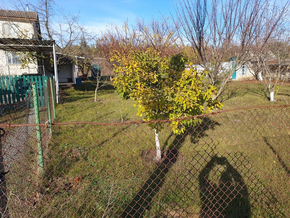 Продам Дом-дача возле Южного-Буга