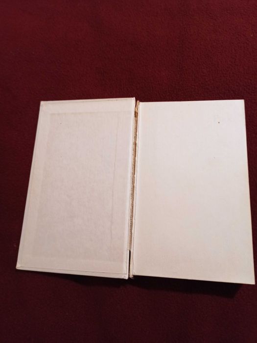 Książka: Ptaki, autor: František Vilček, wydawnictwo: SIT.