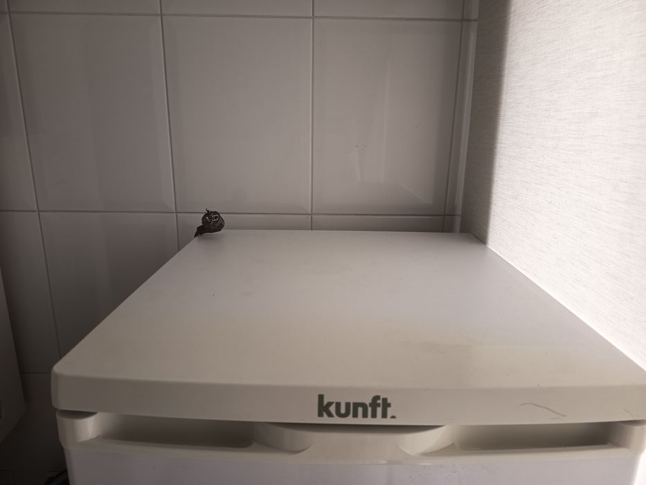 Arca congeladora kunft