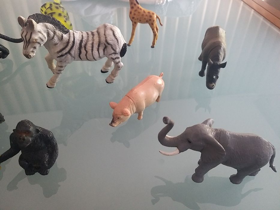 Conjunto de animais64739414686467123