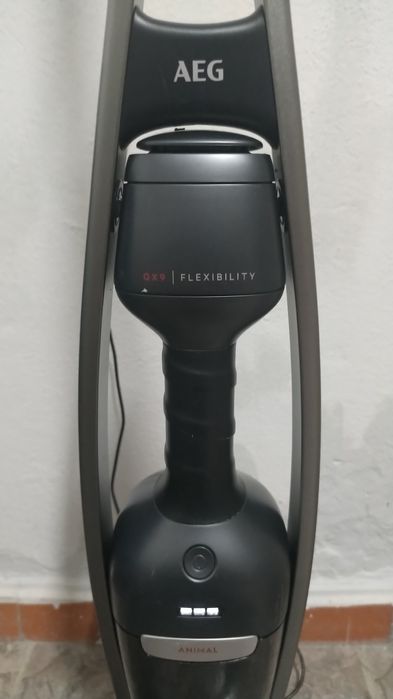 Aspirador Vertical 2 em 1 AEG QX9 Animal Care (Sem Bateria Acessórios)