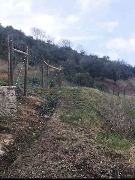 Vedações agrícolas e vinhas