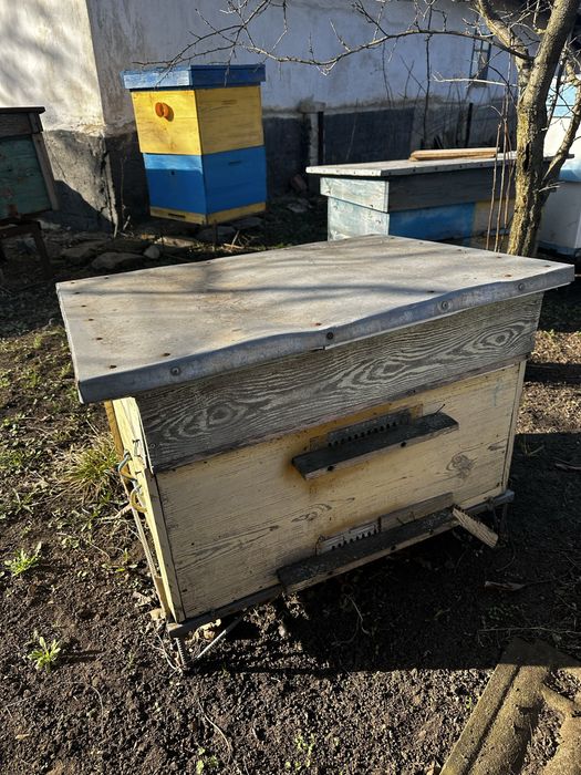 Продам улья  улики