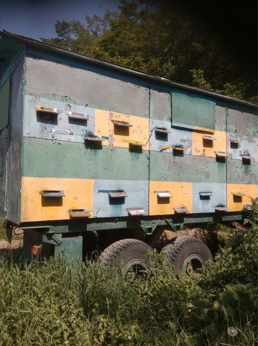 Продам Бджолопавільйон