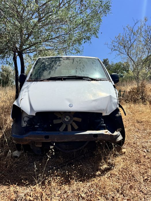 Mercedes Vito longa