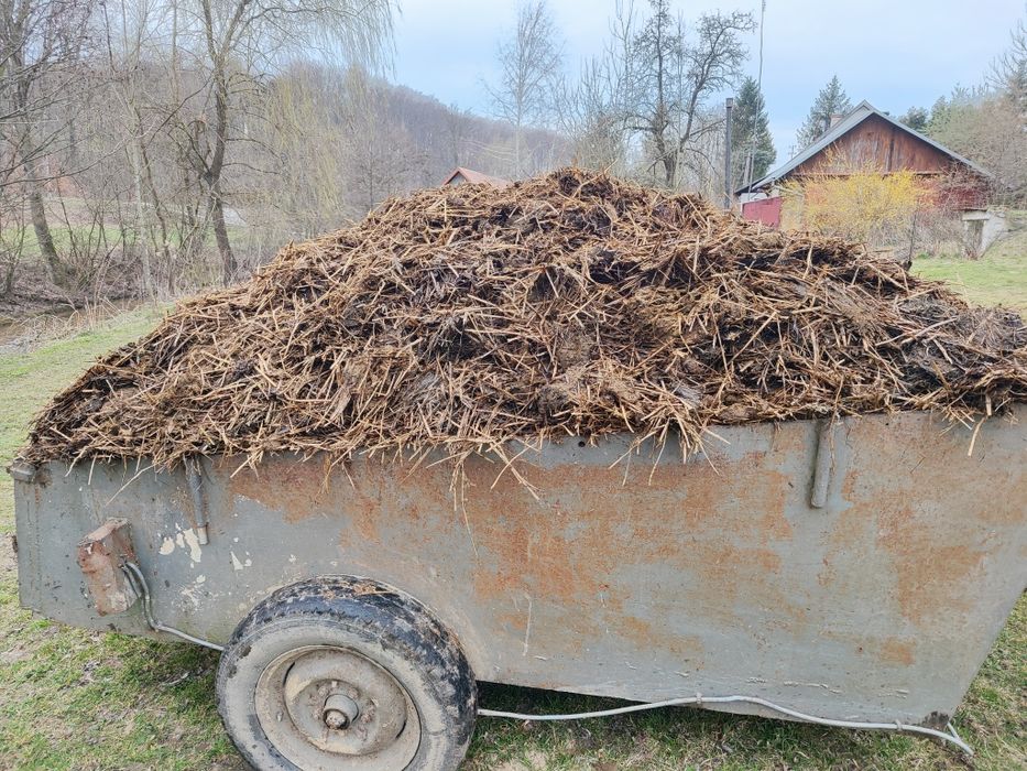 Oferta ograniczona ilością Transport własny przyczepka ,na działki bydlęcy za półtorej -300