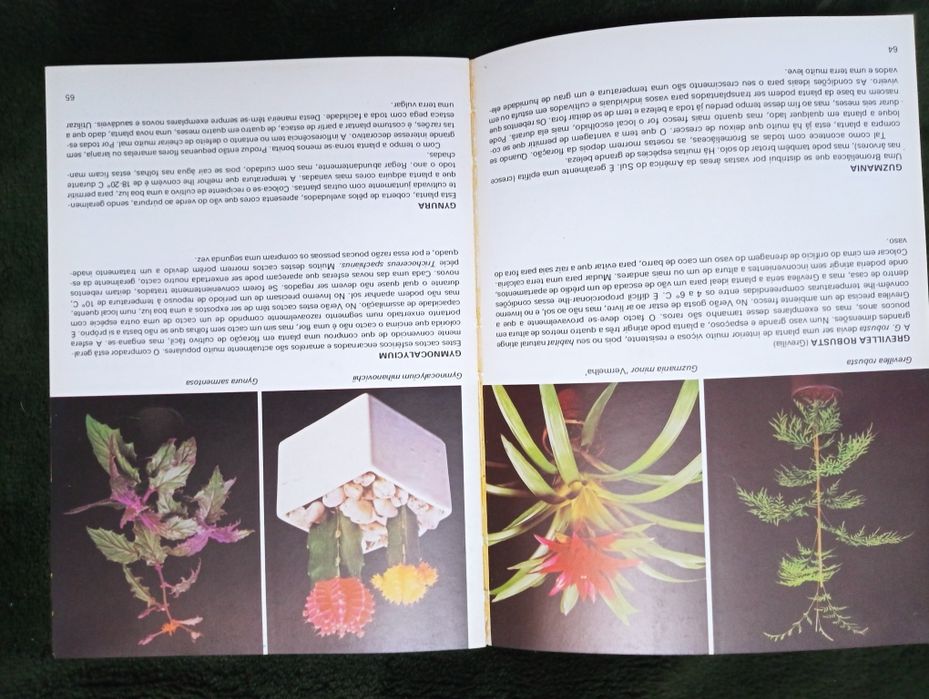 Plantas de interior – Rob Herwig - Editorial Presença - 1974