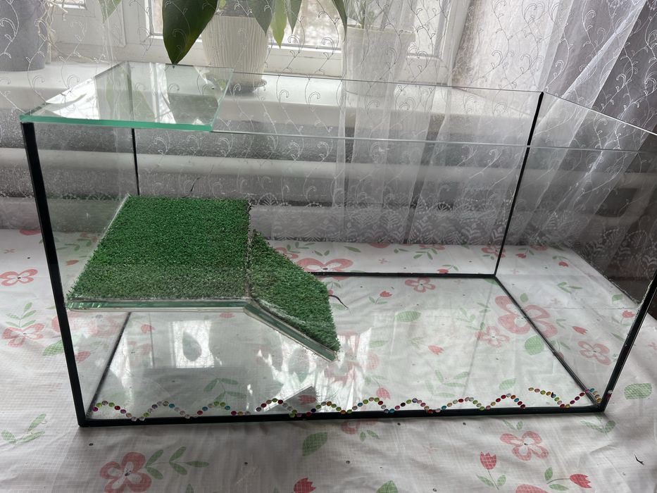 Акваріум для черепахи