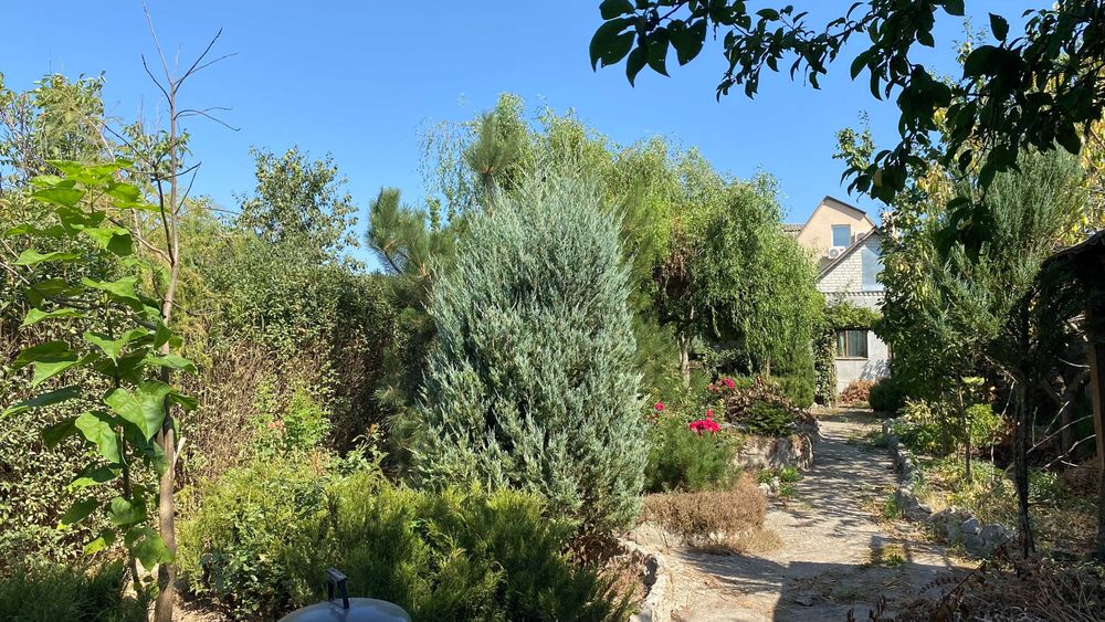 Затишний Будинок шукає нову родину Харків,Жихарь2 світло НЕ виключають