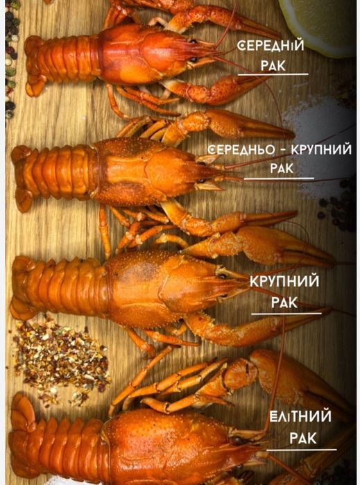 Продаж живий та варений рак