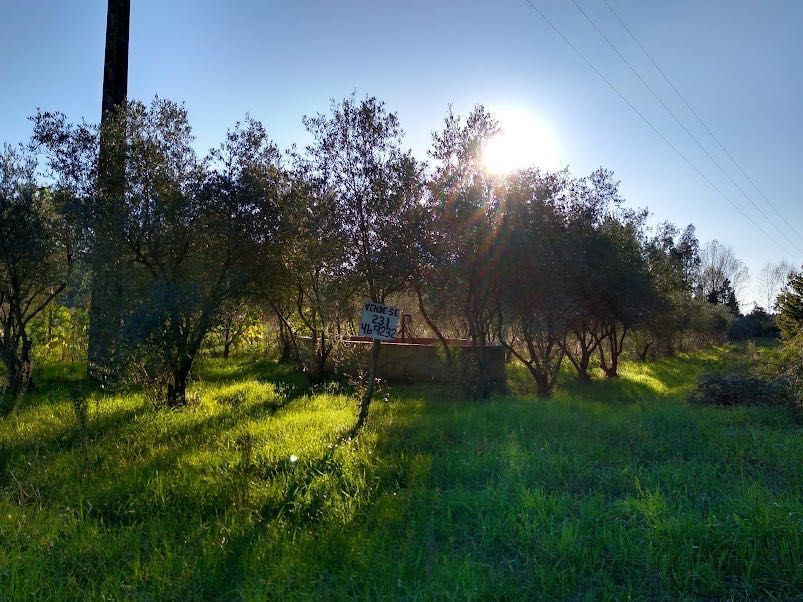 Terreno 2,840 M2 Grandes Oliveiras, Poço, Canalização -Cavadas, Covoes