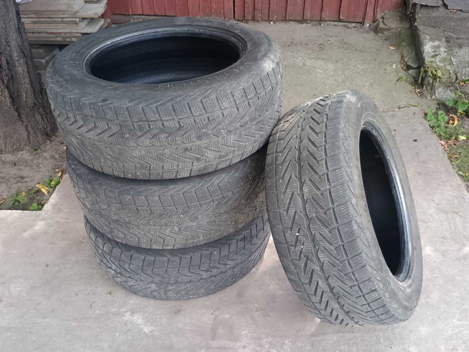 Шини зимові 255/55 R18 109V
