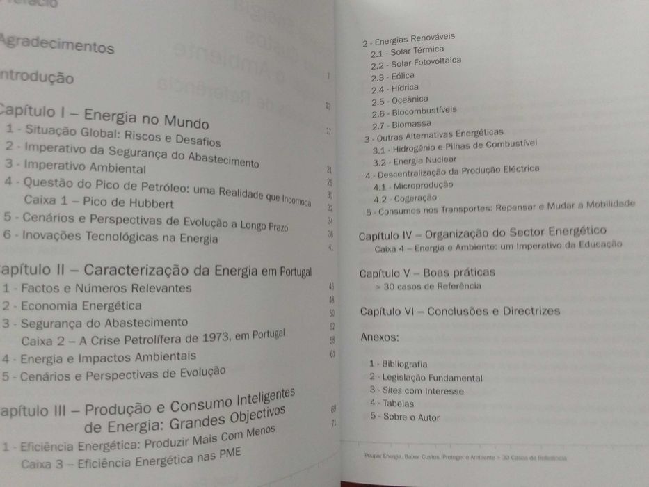 Poupar energia, baixar custos, proteger o ambiente