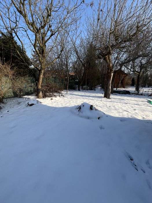 Działka rekreacyjna ROD w Balicach