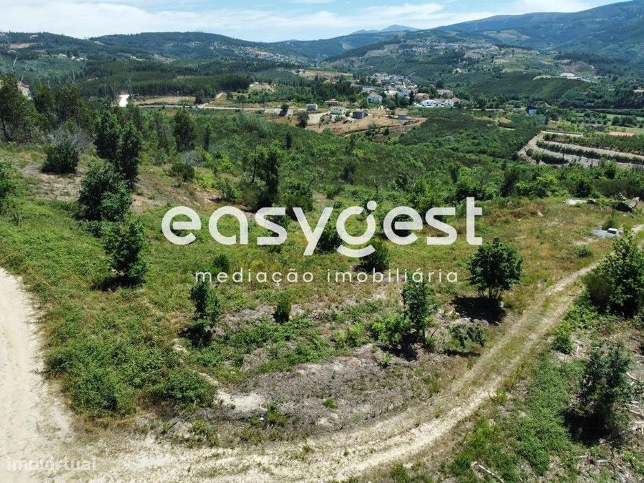 Terreno com 13440 m2, com projeto aprovado para moradia T3 em Côja