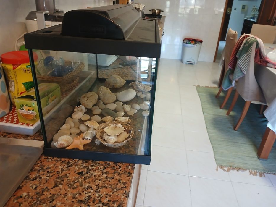 Aquário novo pronto a usar