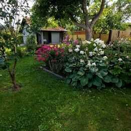 Sprzedam działkę Rod