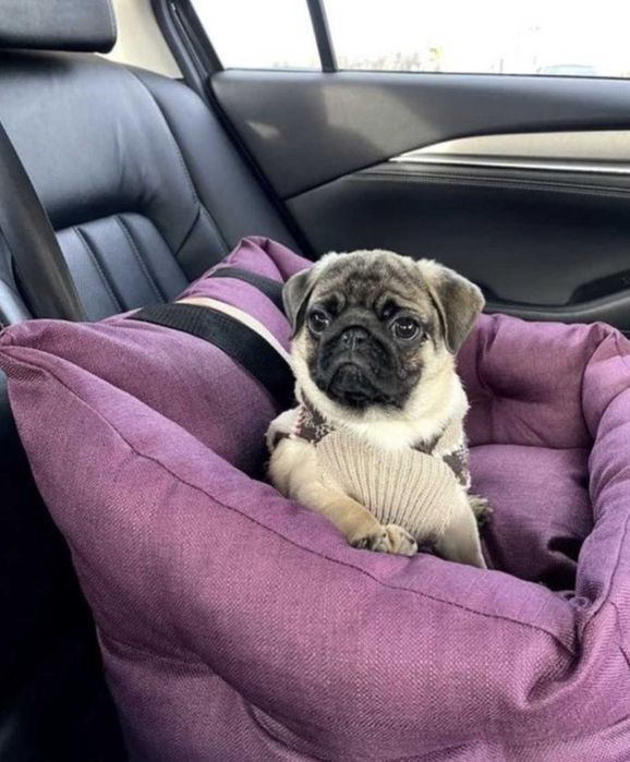 Доставка тварин, Перевезення тварин. Тернопіль. Переїзд. Трансфер