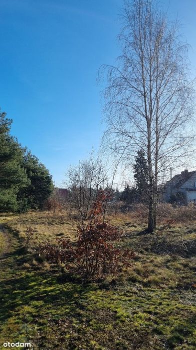 Sprzedam działki przy obwodnicy żarskiej - View 4