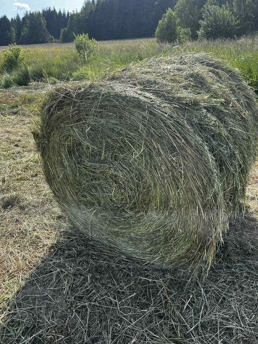 Sprzedam sianokiszonkę