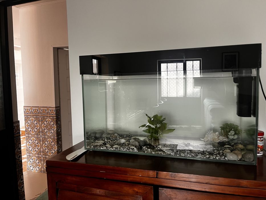 Aquário 60x35x30