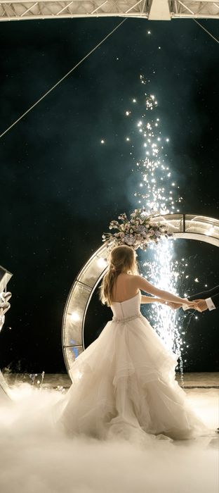 Розкішна ексклюзивна весільна сукня PRONOVIAS