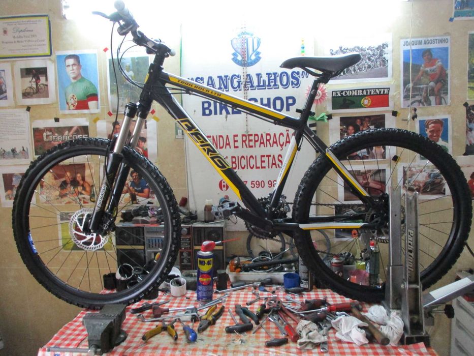 BERG Trail Rock LTD Comp Series 24 Speeds