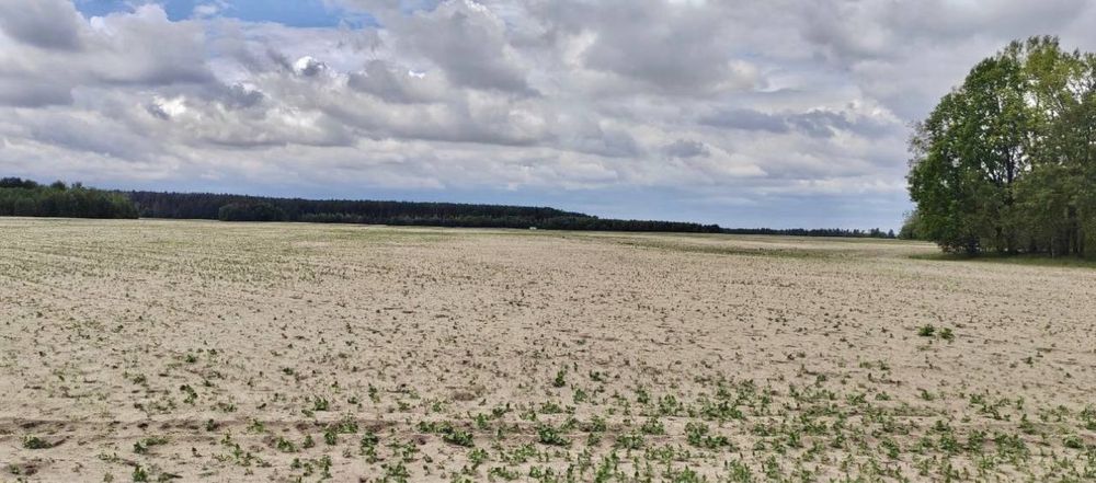 Земельна ділянка 27га. с. Андріївка