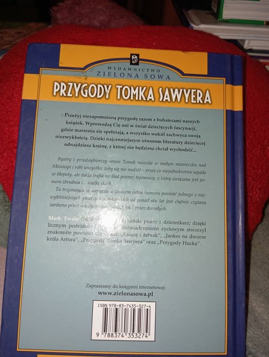 Przygody Tomka Sawyera