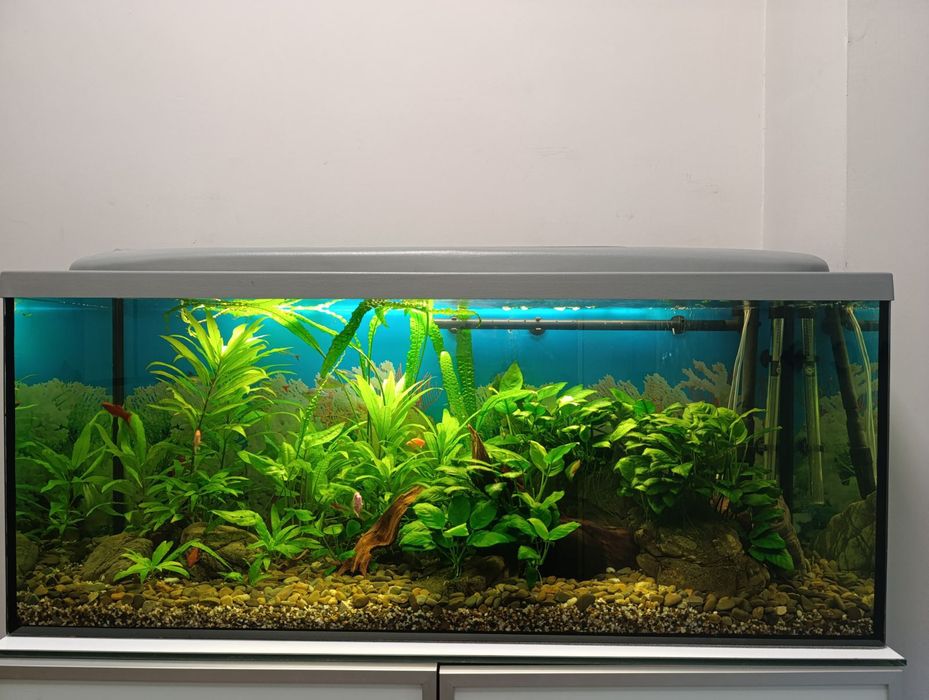 Акваріумний  повний комплект на 240л.