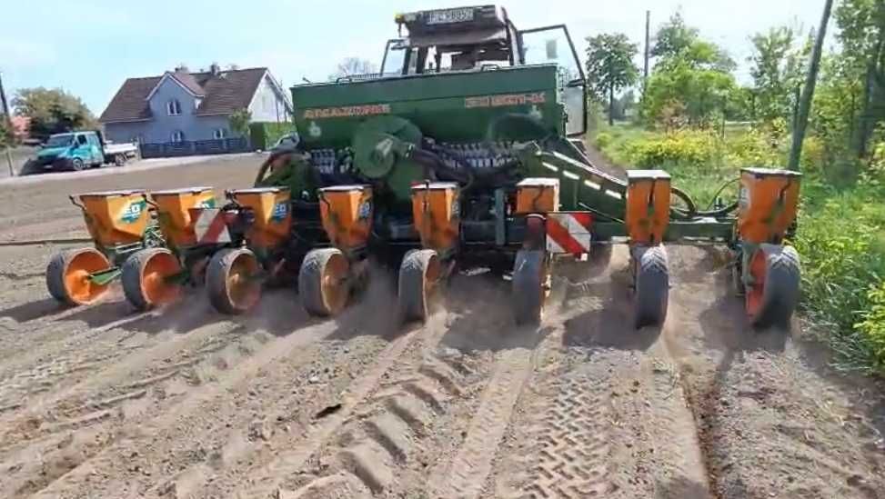 siewnik kukurydzy Amazone