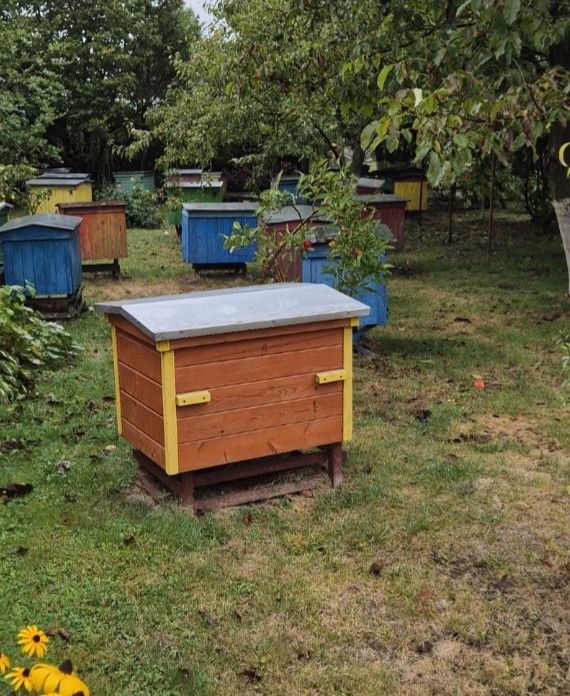 Miód ze spadzi iglasta z Roztocza spadziowy