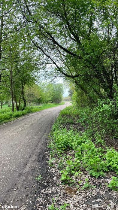 Działka inwestycyjna Cieciszew, Konstancin-Jeziorna, Warszawa 30 min - Widok 4
