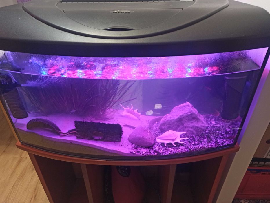 Sprzedam akwarium 112 l panorama
