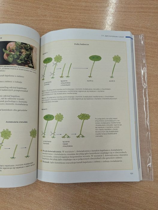 Biologia na czasie 1 nowa era