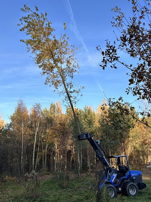 Wynajem MultiOne 8.5 + nożyce – precyzyjne usuwanie drzew, samosiejek.