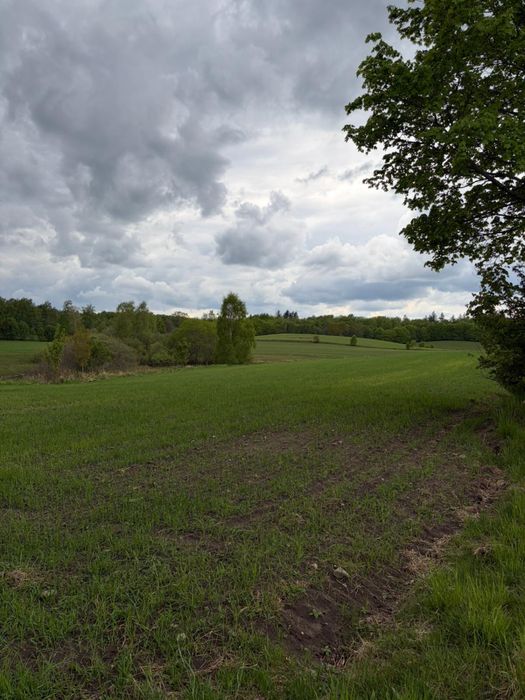 Działki budowlane – Tuchomie | WZ | media w zasięgu |  INFO W OPISIE