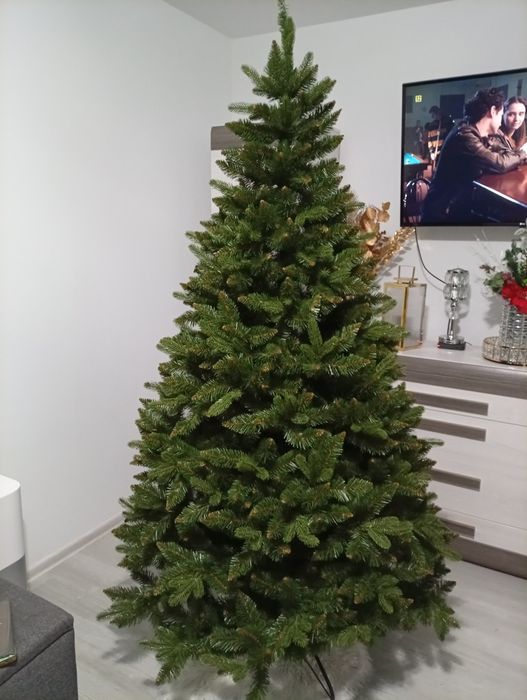 Świerk alpejski 220 cm