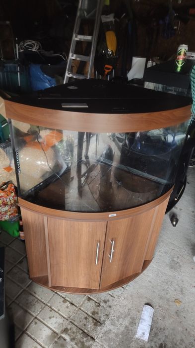 Akwarium narożneJuvel  Trigon 190 l