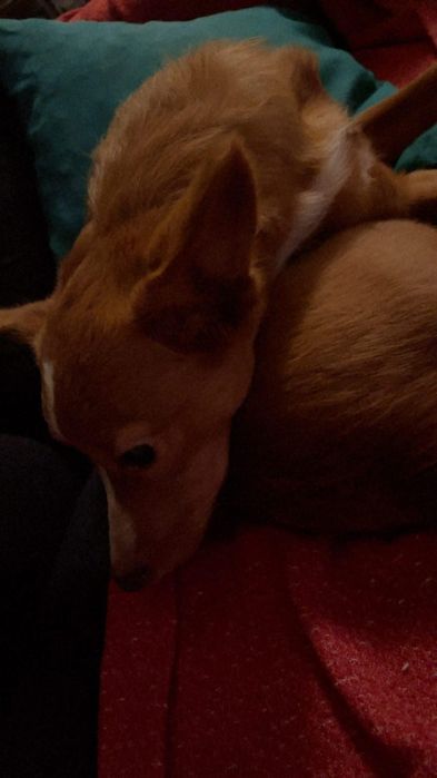 Macho bebe de 6 mesinhos