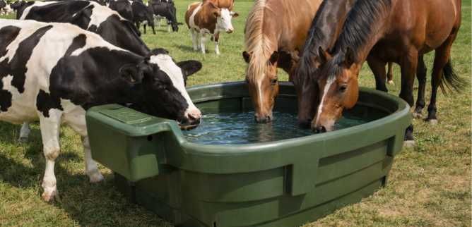 Poidło pastwiskowe wannowe pływakowe dla bydła koni WZMOCNIONE