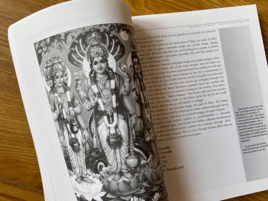 "JIVAMUKTI YOGA" by Sharon Gannon and David Life