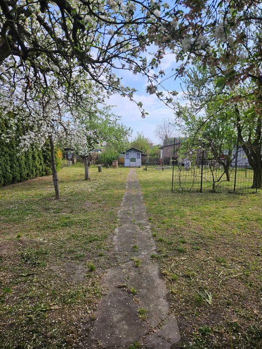 Działka ROD - Wierzbowa. Pleszew