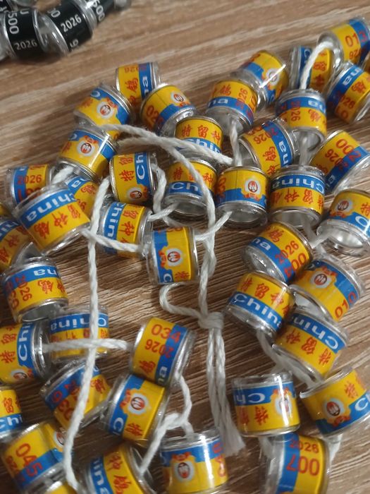 Obrączki dla gołębi pocztowych 2026