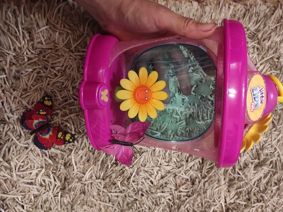 будинок для метеликів Little live pets