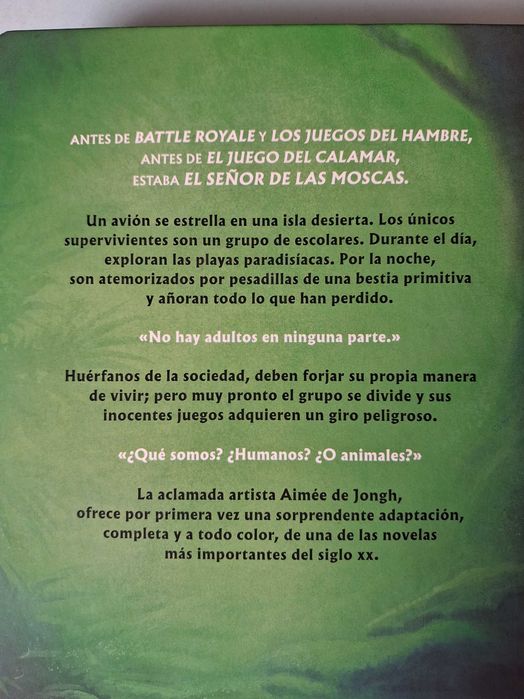 EL SEÑOR DE LAS MOSCAS - Novela Gráfica - Aimée de Jongh , capa dura