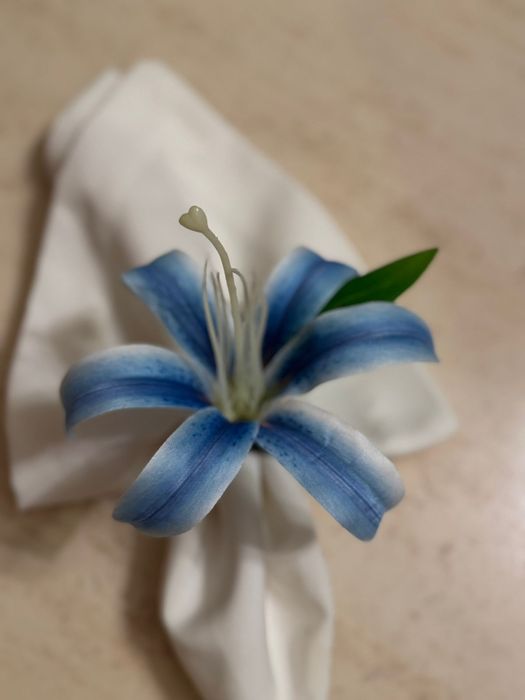 New Napkin Holder482721235280209922