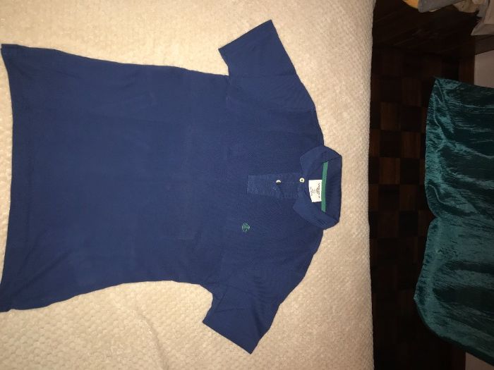 Polos Piquet (Springfield; Tiffosi; FILA)